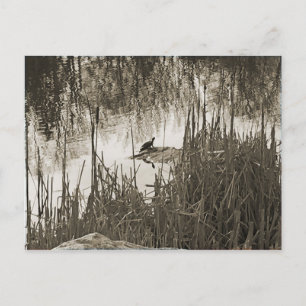 Cartão Postal Solstício de inverno