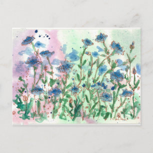 Cartão Postal Solteiro Button Wildflower Meadow