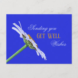 Cartão Postal Solteiro Daisy Flower na Canvas