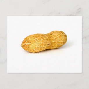 Cartão Postal Solteiro De Amendoim Em Fundo Branco