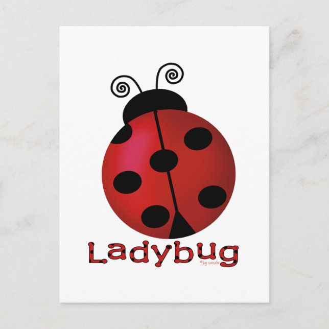 Cartão Postal Solteiro Ladybug (Frente)