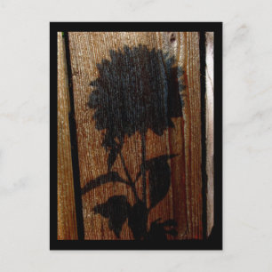 Cartão Postal sombra