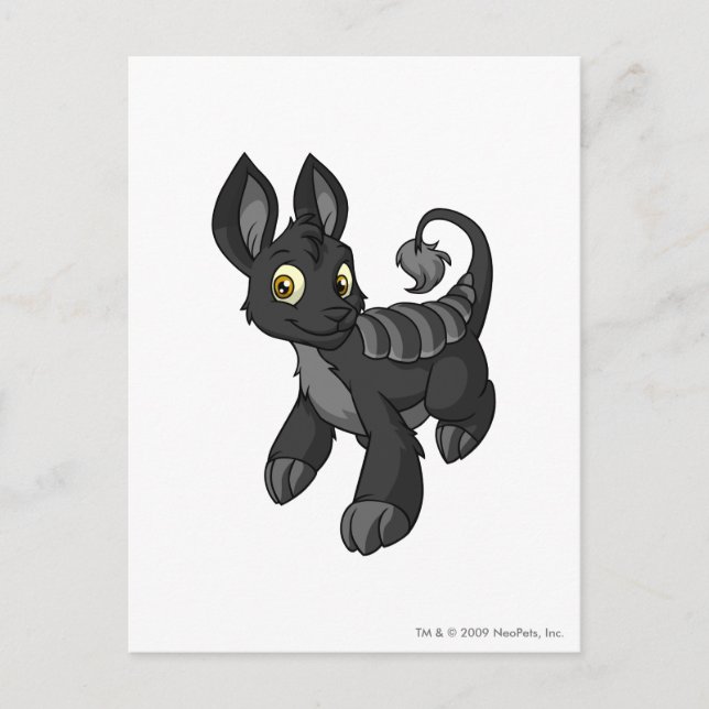 Cartão Postal Sombra de Bori (Frente)