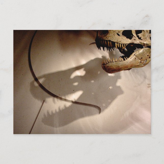 Cartão Postal Sombra de Sue (Frente)