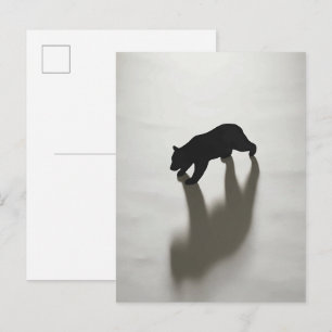 Cartão Postal Sombra de Urso Negro na Solidão Branca
