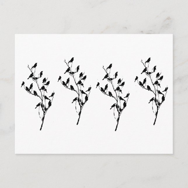 Cartão Postal Sombras de Grackle (Frente)