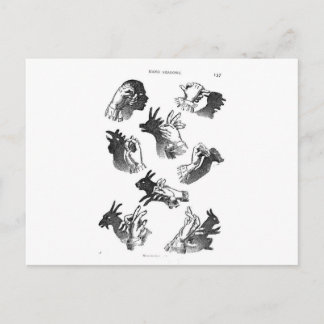 Cartão Postal Sombras de Mão na Parede