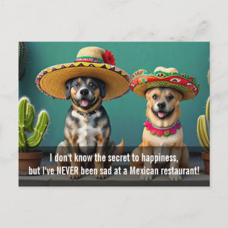 Cartão Postal sombreros perros meme