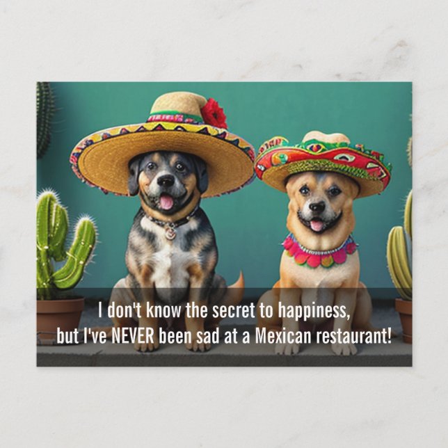 Cartão Postal sombreros perros meme (Frente)
