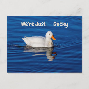 Cartão Postal Somos apenas Ducky