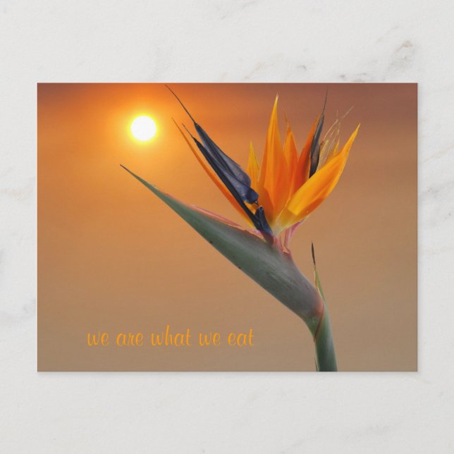 Cartão Postal somos o que comemos (Frente)