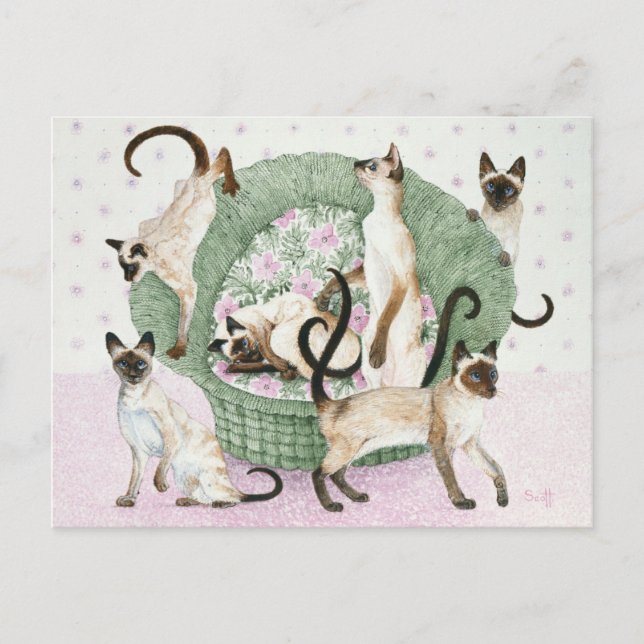 Cartão Postal Somos siameses, por favor (Frente)