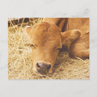 Cartão Postal Sonhando com você.