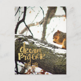 Cartão Postal Sonhe maior que o Esquilo da Vida