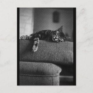 Cartão Postal Sonho