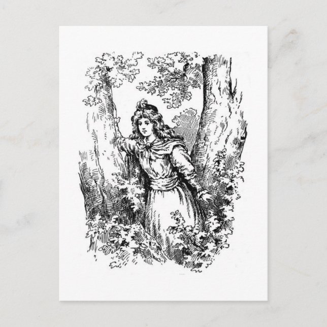 Cartão Postal Sonho da Noite de Verão (Frente)