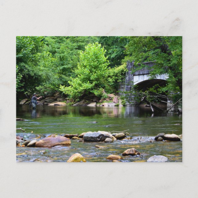 Cartão Postal Sonho de Dia de Pesca de Voo (Frente)