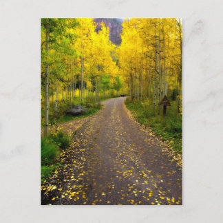 Cartão Postal Sonho de outono