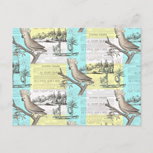Cartão Postal Sonho Tropical de Cockatoo (Frente)