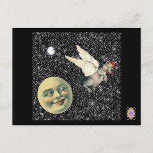 Cartão Postal Sonhos de Porcos