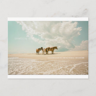 Cartão Postal Sonhos Respiratórios Como Cartaz Aéreo