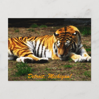 Cartão Postal Sonolência