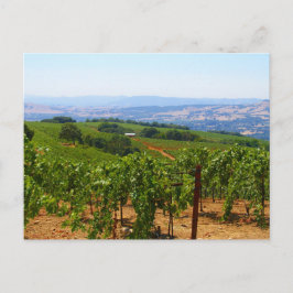 Cartão Postal Sonoma