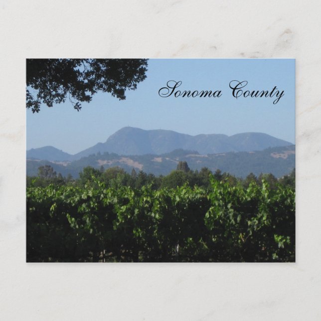 Cartão Postal Sonoma Paisagem ! (Frente)