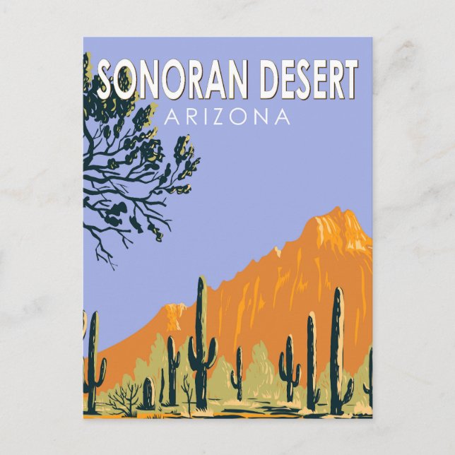 Cartão Postal Sonoran Desert Arizona Vintage Art (Frente)