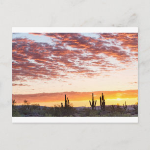 Cartão Postal Sonoran Desert Colorida Sunrise Morning