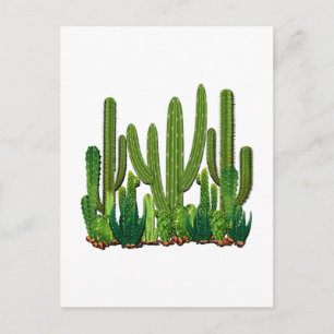 Cartão Postal Sonoran Habitat