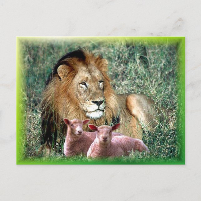 Cartão Postal Soothes the Soul - (Frente)