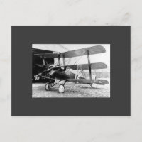 Sopwith Triplane
