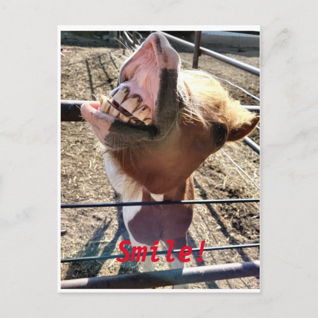 Cartão Postal Sorria! (Frente)