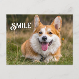 Cartão Postal Sorriso de Corgi Cão Engraçado Sorriso de Animal