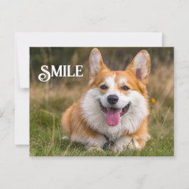 Cartão Postal Sorriso de Corgi Cão Engraçado Sorriso de Animal