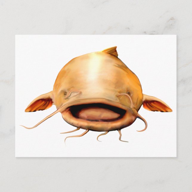 Cartão Postal Sorriso de pesca (Frente)