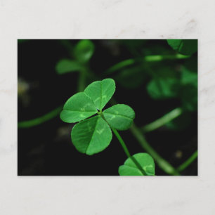 Cartão Postal Sorte