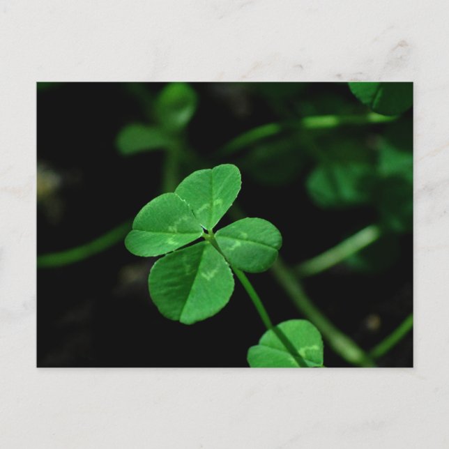 Cartão Postal Sorte (Frente)