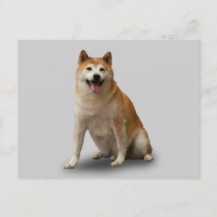 CARTÃO POSTAL SORTE CÃO