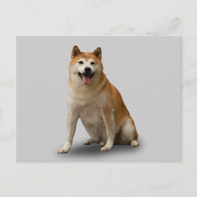 CARTÃO POSTAL SORTE CÃO (Frente)