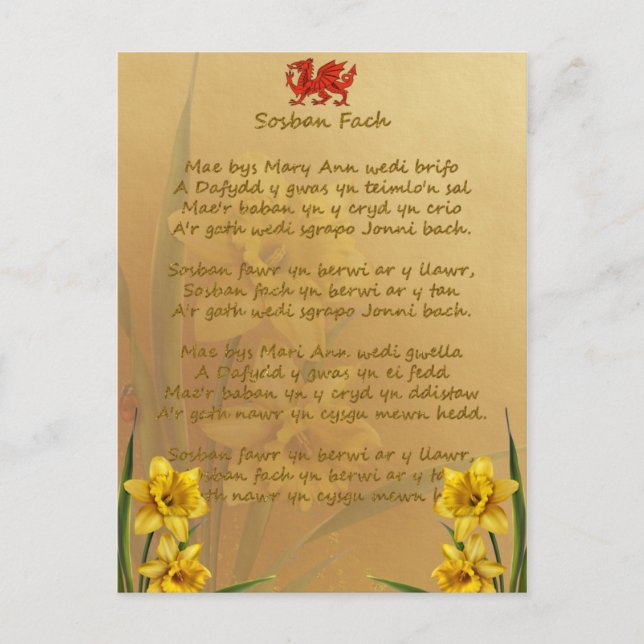 Cartão Postal Sosban Fach Welsh Song (Frente)