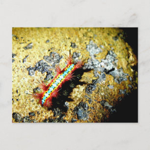 Cartão Postal Sou Diferente para Você?/Noite de Sair Bela