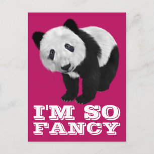 CARTÃO POSTAL SOU TÃO RICO PANDA BEAR POSTCARD