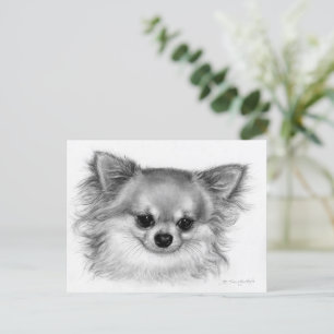 Cartão Postal "Soul Gentil" Retrato Chihuahua Pintado à Mão