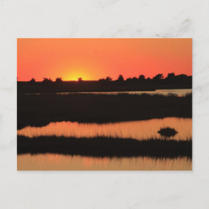 Cartão Postal South Cape Beach Marshes no Sunset Mashpee Cape Co