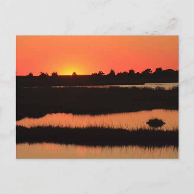 Cartão Postal South Cape Beach Marshes no Sunset Mashpee Cape Co (Frente)