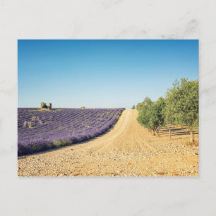 Cartão Postal South of France