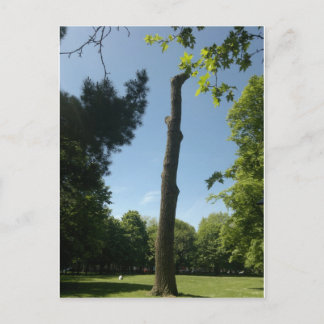 Cartão Postal Southampton (parque de Hoglands)