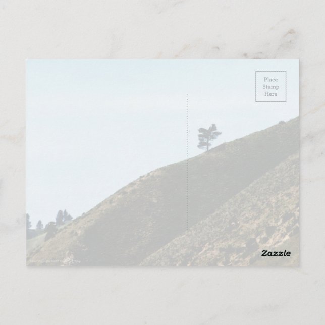 Cartão Postal Sozinha (Verso)